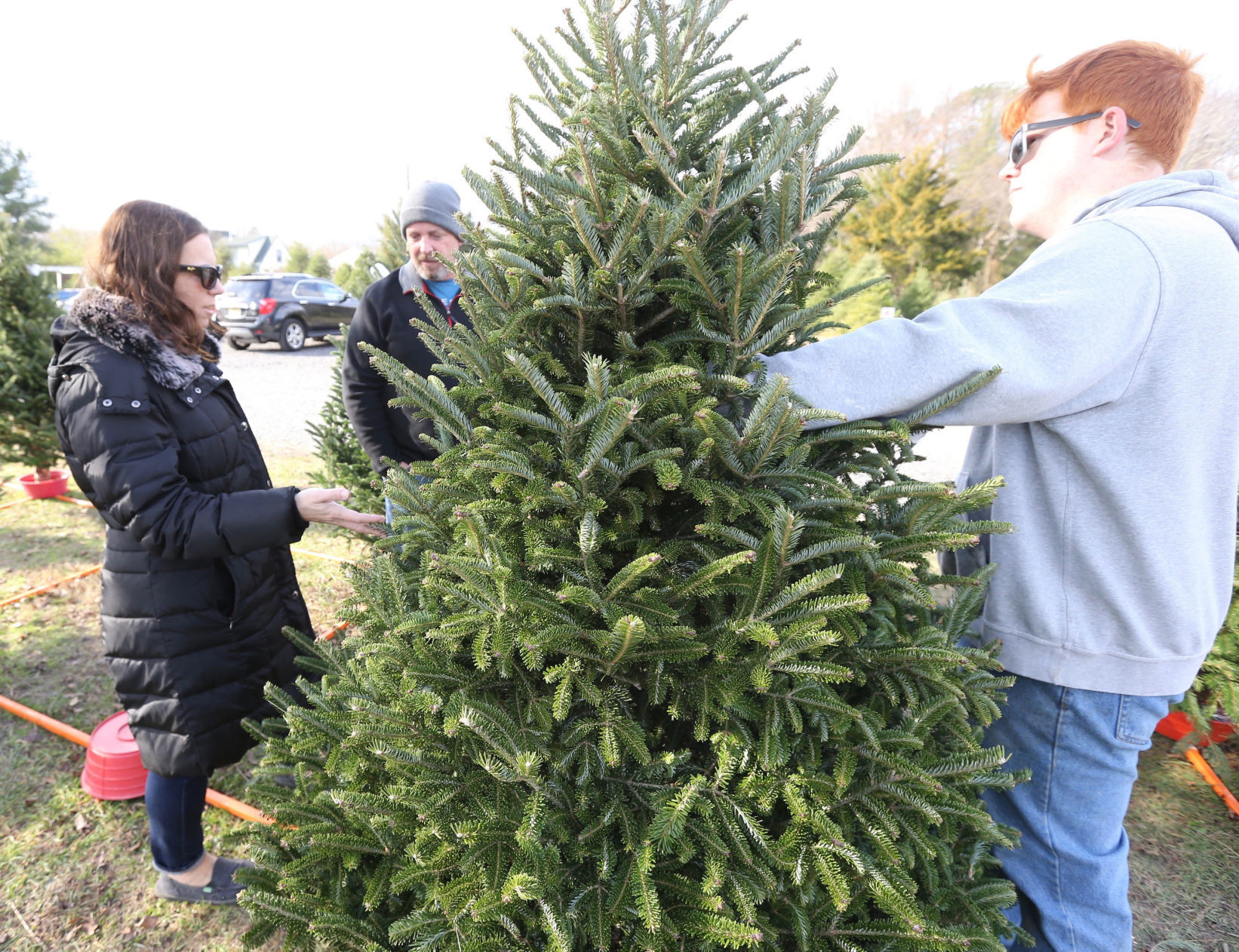 Littleworth Christmas Tree Farm